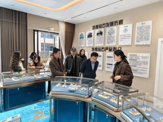 河南微纳丽珠宝有限公司简介